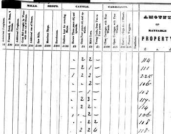 Assessment for Puslinch Township, Wellington County 1844